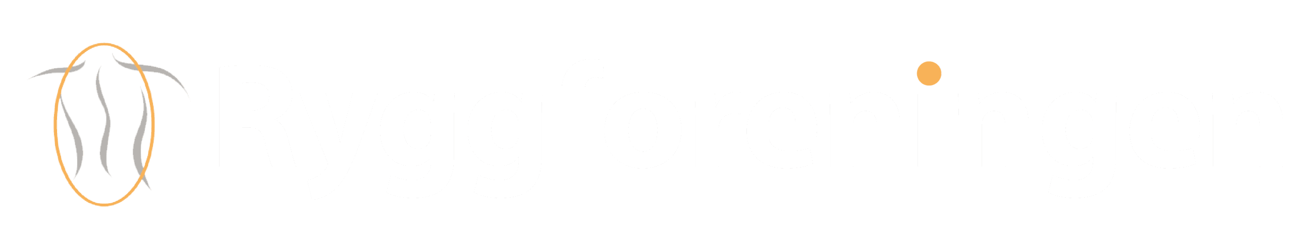 Ryggforeningen i Norge